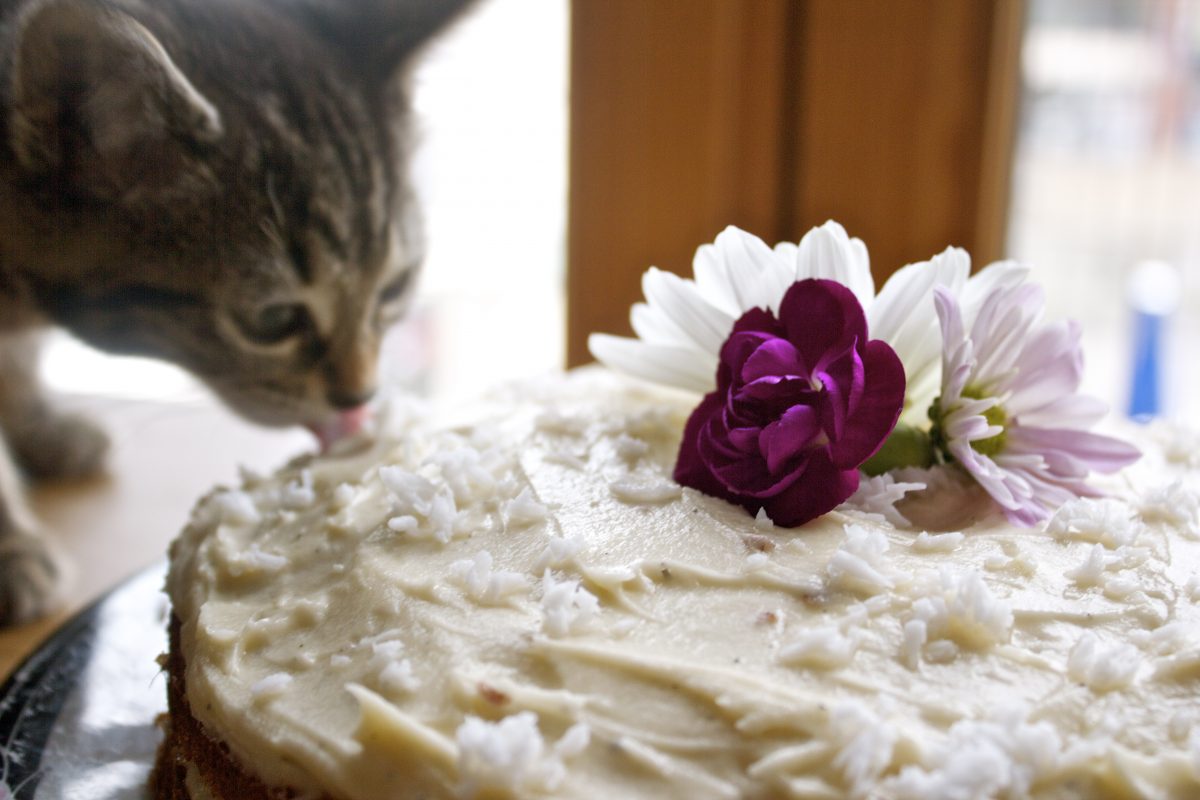 Theme Post-White Velvet Butter Cake with Jasmine Tea Cream